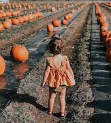 harvest festival